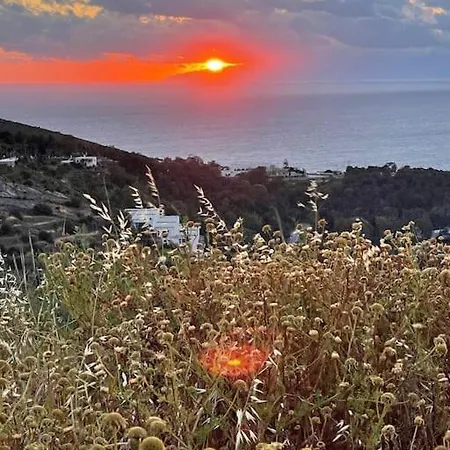 Horizon *